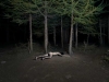 24-daniele-testa-ti-ho-trovato-di-notte-nel-bosco