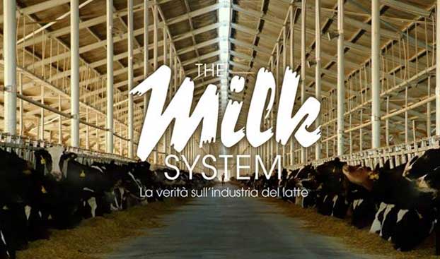 The Milk System slider